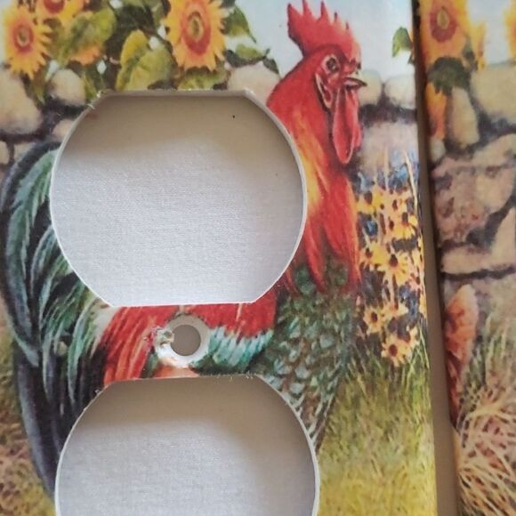 4@30.00 or 20.00 Home Decor/𝅺Decorative Outlet/Switch Plates - Picture 4 of 14